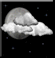Wednesday Night: Mostly Cloudy